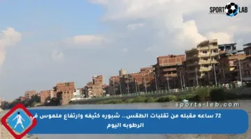 72 ساعة مقبلة من تقلبات الطقس.. شبورة كثيفة وارتفاع ملموس في الرطوبة اليوم